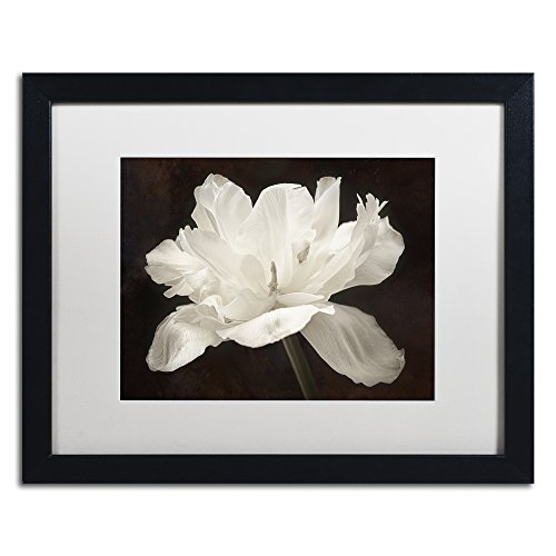 Trademark Fine Art ' White Tulip I ' White Matted Black Frame by Cora Niele 16x20