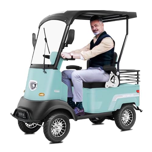 2 Passenger Golf Cart & Electric Golf Cart&With extra large capacity storage trunk&Independent Suspension for Golf|Suitable for Golf| Hunting|Scenic Spots|Hotels|Beaches|Schools and Farms&Green