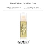 evanhealy Wild Carrot Immortelle Eye Balm | Organic Travel Moisturizer Stick | Hydrating Balm to Brighten Skin Around Eyes, Face, & Body | On the Go Moisturizer