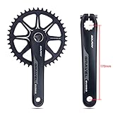 BOLANY Bike Cranksets Gravel 170mm Hollow Integrated 42T Single Chainring Direct Mount with Bottom Bracket Fit for Off Road Bike Crankset Compatible with 10/11speed (170mm-42T)