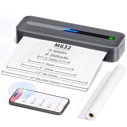COLORWING Portable Printers Wireless for Travel, 300DPI Mini Compact Inkless Printer, Thermal Bluetooth Printer Compatible with Android and iOS Smartphone & Tablet & Laptop - Gray