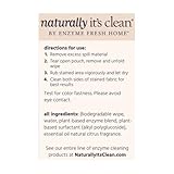 Naturally It's Clean Stain Eraser, Natural Enzymes Based/Biodegradable Instant Stain Removal, Spot Wipe Removes Wine, Coffee, Soda, Spills, Odor on Clothes, Bags, 60 Count (Pack of 1)