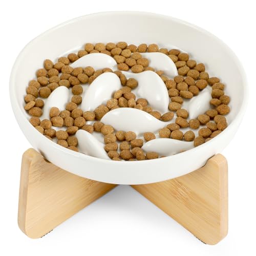 Slow Feeder Cat Bowl with Stand, Ceramic Slow Eating Cat Bowl with Higher Edges Fish Pool Design Elevated Cats Food Bowls for Dry and Wet Food Anti-Vomiting Puzzle Feeder for Healthy Eating Diet