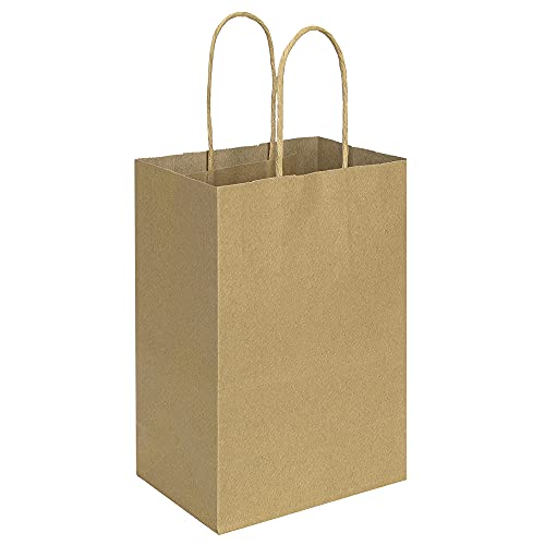 bagmad 100 Pack 5.25x3.25x8 Inch Brown Small Paper Bags with Handles Bulk, Gift Paper Bags, Kraft Birthday Party Favors Grocery Retail Shopping Takeouts Business Craft sacks (Plain Natural 100pcs)