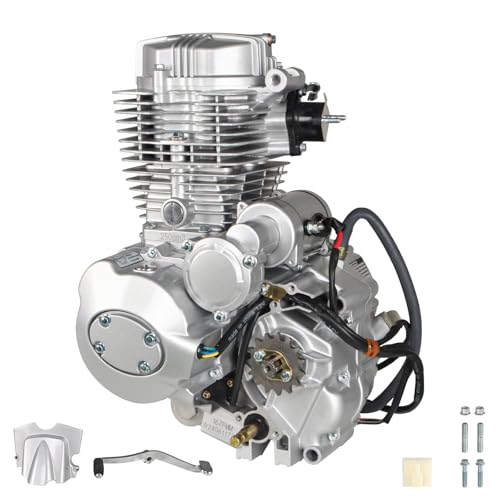 Ireliajob 200CC 250CC ATV Motor Engine 4 Stroke Vertical Air-Cooled Engine Motor Single Cylinder CDI Ignition with Manual 5-Speed Transmission Fits for ATV Motorcycles Dirt Bike