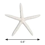 Nautical Crush Trading Starfish Decor - Star Fish for Craft - 10pk Real 6-8" White Sea Stars - Beach Wedding Decor - Coastal Party Decorations - Seashell Décor