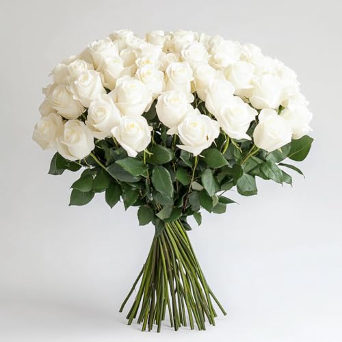 GlobalRose 50 Fresh White Roses - Flower Delivery - Beautiful Large Blooms (OM)