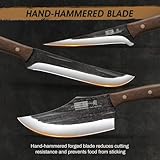 HOSHANHO Butcher Knife Set, Hand Forged Butcher Chef Knife Set with Roll Bag, Sharp Kitchen Knife Set of Meat Cleaver Knife Bone Chopper Knife Fillet Knife Set for Home & Camping & BBQ Gift for Men