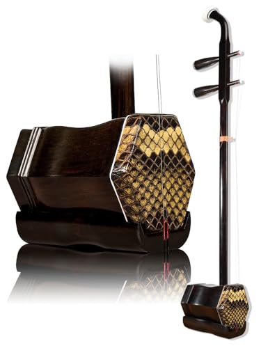 Landtom Professional Ebony Erhu Chinese 2-string Violin Fiddle Musical Instrument + Free Accessories, Musical college recommended