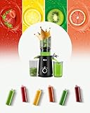 Juicer Machines, ECOSELF Cold Press Juicer with 4.35" Large Feed Chute Fit Whole Fruits and Vegetables, Juice Extractor Self Feeding Effortless for Batch Juicing, Easy to Clean, High Juice Yield