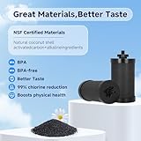 2387 Pro Filter Replacement NSF/ANSI 42 Certified for Alexapure 2387 Pro Filter Replacement, 5,000 Gallon Throughput Capacity Compatible with Alexapure Water Filtration System - Filter 4 Pack Black