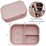 Ali+Oli Silicone Bento Box (Rose) Lunch Box for Kids, Toddlers, Preschoolers & Adults | BPA-Free and Spill-Proof | Ideal for School, and On-the-Go Meals| Perfect for Lunch, Snacks, and Meals