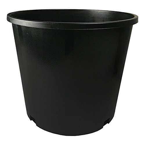 Calipots 10-Pack 10 Gallon Premium Black Plastic Nursery Plant Container Garden Planter Pots (10 Gallon)