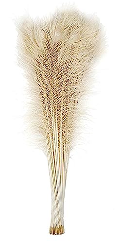 25 Pcs Bleached Peacock Feathers 30"-35" for Weddings Decoration Halloween Costumes