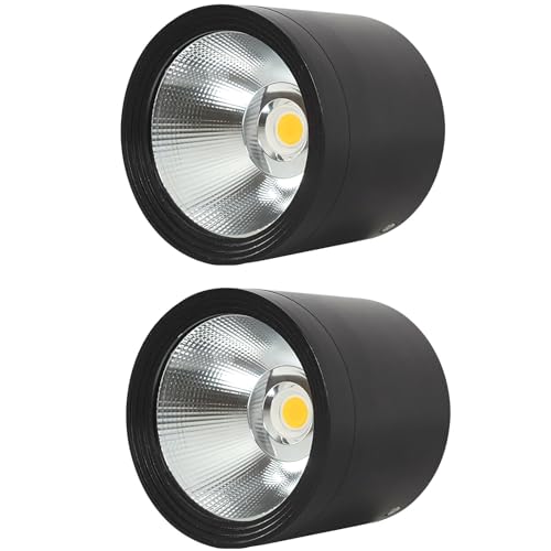 MEGHALI 2pack Modern Spotlight LED 18W Round Waterproof Downlight Outdoor Ceiling Light Black Spotlights for Balcony Terrace Warm Light 3000K Flush Mount Ceiling Lights