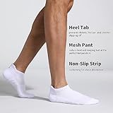 Lapulas Athletic Ankle Socks, Low Cut Cushioned Anti-Blister Running Tab Sports Socks for Men and Women 6Pairs (White, M)