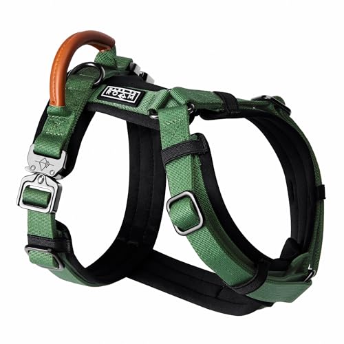 MADE TO ROAM Premium Explorer Harness - Y-Shaped Dog Harness with Adjustable Durable Nylon, Soft Padding, Metal Buckles and Leather Handle for Small, Medium, Large Dogs (Oregon Haze, Size 1)