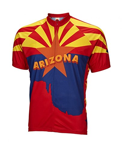 BDI Cycling Apparel Men's Standard Cycling Jersey, Multicolor, Large