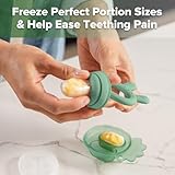 Haakaa Baby Fruit Food Feeder & Mini Freezer Nibble Tray Combo, Breastmilk Popsicle Molds for Cooling Relief, BPA Free Silicone Feeder for Safe Infant Self Feeding, 4 Month+ (Pea Green)