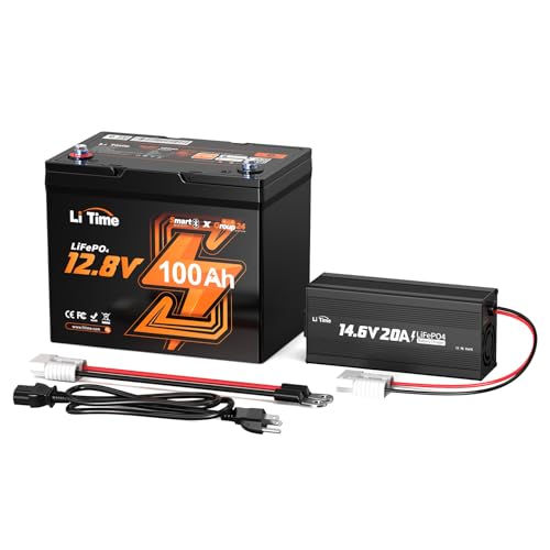 LiTime 12V 100Ah Group 24 Bluetooth LiFePO4 Battery and 14.6V 20A Lithium Battery Charger with Anderson Connector, 100A BMS with Low-Temp Protection, Max. 15000 Cycle, Perfect for RV, Trolling Motor