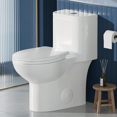 AKNIRL Elongated One Piece Toilet with Comfort Height Seat Chair Height 17" Modern Toilet for Bathroom, Dual Flush 1.1/1.6 GPF, MAP 1000g, Soft Closing Seat, 12" Rough-In, OT-001
