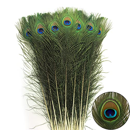 THARAHT 24pcs Peacock Feathers Natural Long in Bulk 30-32 inch(75-80 cm) for Floral Arrangements DIY Craft, Wedding Home Party Holiday Decoration Peacock Feathers