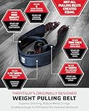 THEFITGUY Sled Pulling Belt, Adjustable Closure, 2 Sled Pulling Straps & 4 Hooks Included - for Resistance Training, Strength Training, Agility, Pulling Backwards, Front and Sides