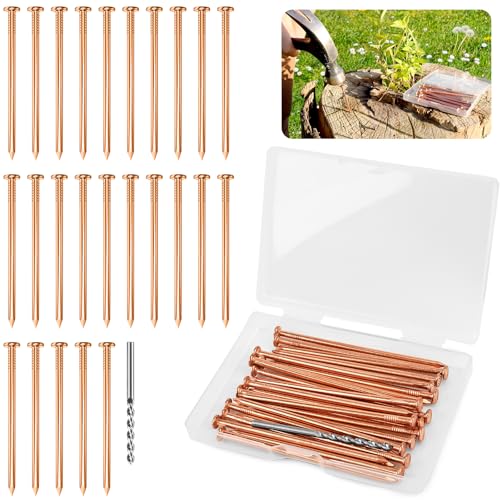 UCandy 25 pcs Copper Nails for Killing Trees Stump Root, Copper Nails with Drill, Stump Removal Spikes Hardware Nails for Trees (3.15" -25PCS)