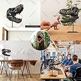 pombconw T Rex Skull, Dinosaur Statue Resin Replica Head Sculptures, Home Office Decorations on Shelf Table Desk Bookshelf, Birthday Party Gift for Kids and Adults,11.8 inch