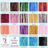 Hair Tinsel,18 Colors Hair Tinsel Kit for Girls 7600 Strands Fairy Tinsel Hair Extensions Holographic Hair Tinsel Heat Resistant Colored Hair Glitter Christmas Party Festival (18 Colors) (18 Colors)