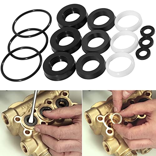 34262 Seal Kit for CAT Pump 66DX 6DX Pumps 6DX35G1I 6DX40G1I 66DX30G1I 66DX35G1I 66DX40G1I Model Pressure Washer Pump