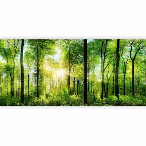 artgeist Wall Mural Forest 216x98 in - XXL Non-Woven Corner Wallpaper Fleece Angle Wall Decor Photo Print Picture Image Design Modern Landscape Nature Green Tree Panorama Sunshine c-A-0058-a-b