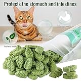 SYWUAII 100g/3.52oz Cat Grass Treats, Cat Grass Teething Stick for Hairball Remove and Teeth Cleaning, Edible Cat Grass Stick Snack