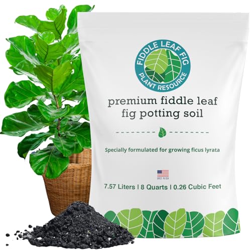 Fiddle Leaf Fig Potting Soil Mix by Fiddle Leaf Fig Plant Resource | Premium Organic Soil with Enhanced Drainage for Fast Growth and Healthy Roots | Made in USA (Large Bag)