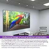 Elite Screens 123-Inch Edge-Free Projector Screen, Ceiling Light Rejecting (CLR) Technology, Absorbs 90% Overhead Lighting, High-Gain Material for Standard Throw Projectors, (Model: AR123H2-SBCLR16)