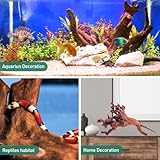 WDEFUN Natural Driftwood for Aquarium Decor, 2-Piece 10''-14'' Large Driftwood for Decorations on Fish Tank, Reptiles Bearded Dragon Accessories or Air Plants