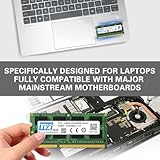 LIYI DDR3 16GB KIT DRAM Modules (2x8GB) 1333MHz PC3-10600 PC3-10600S CL9 SODIMM 204 Pin 1.5V Dual Rank 2Rx8 Non ECC Unbuffered Laptop Notebook Computer SO-DIMM Memory DDR3 RAM Module Upgrade