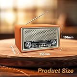 Oncheer Retro Vintage FM Radio, Leather Speaker Radios with Bluetooth TWS Pairing, Battery Powered, Home Room Bookshelf Classical Decor Support TF Card/USB Player/AUX in