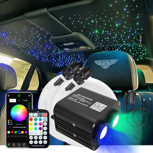 AKEPO 20W RGBW Different Color Dual-Head Twinkle APP Fiber Optic Lights, Sound Activated 900pcs 0.03in 9.8ft/3m Fiber Optic Strands Star Ceiling Light Kit for Home/Car Headliner Star