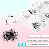 VAVALASH 600 Fans Premade Fans Eyelash Extensions 5D 6D 7D 8D 10D 12D 14D 16D 24D Premade Lash Fans 8-15mm Mixed Length Promade Loose Fans Thin Base Premade Volume Lash Extension(10D-0.05-D-8-15mm)