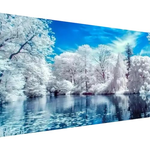 BOHADIY 5D Lake Diamond Painting, Diamond Painting Winter Tree Kits for Adults，DIY Full Drill Crystal Rhinestone Arts and Crafts, Gem Art Paints with Diamond Home Wall Decor 27.5 X 15.7inch