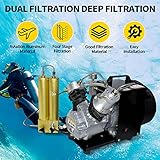 TUXING PCP Air Compressor 4500Psi Air Filter, Oil Water Separator with Safty Valve, Two Stage Filtration Air Filter for High Pressure Air Compressor Scuba Diving 408mm*100mm Gold