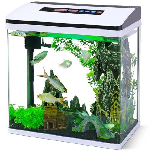 Bluecoco 6 Gallon Glass Aquarium Fish Tank Starter Kit with Temperature and Time Display for Betta Fish Featuring Crystal Clear 360° Viewing, Eco-Cycle Filtration, Air Pump