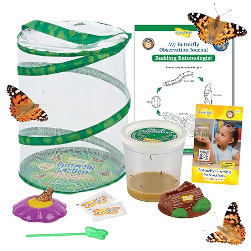 Insect Lore Butterfly Garden | 5 Live Baby Caterpillars | Habitat, Feeder, Chrys-A-Lid Log, STEM Journal Included | Raise and Release Painted Lady Butterflies