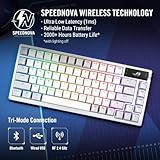 ASUS ROG Azoth 75 Wireless DIY Custom Gaming Keyboard, OLED display, Gasket-Mount, Three-Layer Dampening, Hot-Swappable Pre-lubed ROG NX Storm Switches & Keyboard Stabilizers, PBT Keycaps, RGB - White