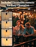 100ft Solar Outdoor String Lights with Remote - USB Rechargeable Solar Powered Outdoor Patio Lights, Larger 3.5W Solar Panel , Timer, Dimmable Shatterproof ST38 Bulbs for Backyard, Porch, Garden, Pool