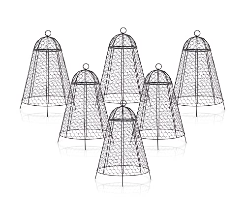 boldworks Garden Cloches for Plants Chicken Wire Cages to Protect from Animals Outdoor Extra Large Rustproof Thicker and Finer Mesh 12" x 20" Pack of 6
