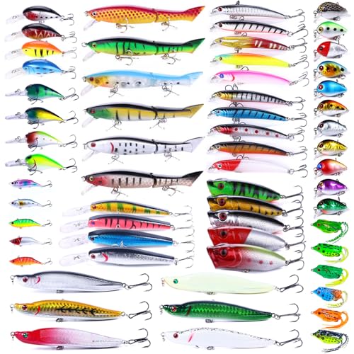 YAMLGHT Fishing Lures Kit Mix Includes Minnow Popper Crankbait and Fish Hook for Fishing Saltwater Freshwater Trout Bass Salmon (60 Pcs)