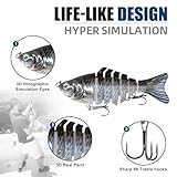 6PCS Fishing Lures for Freshwater and Saltwater with case,Slow Sinking Multi Jointed Swimbaits, Lifelike Lures for Bass Trout Crappie Walleye Pike