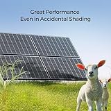 Renogy 2pcs 320W Solar Panels 24V Monocrystalline On/Off Grid 640W for RV Boat Shed Farm Home House Rooftop Residential Commercial House, 2 Pieces